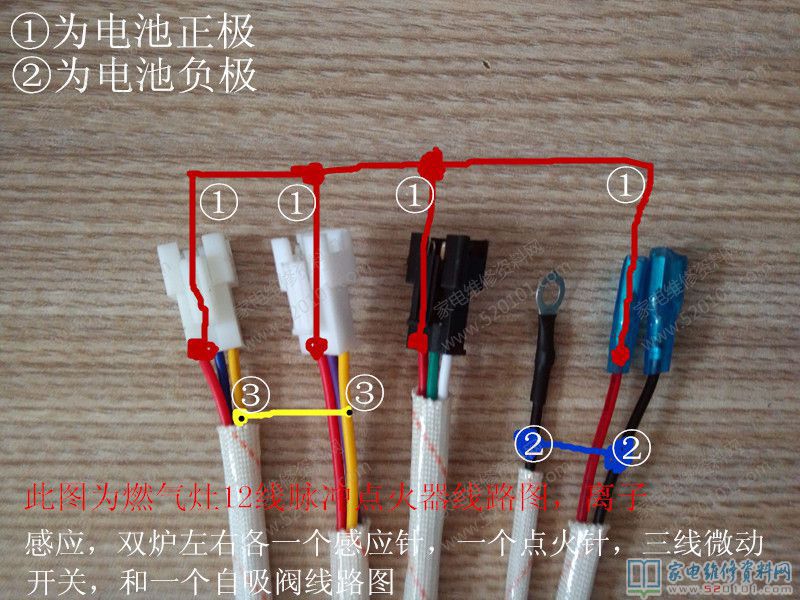 12线双炉正离子维护电子点火器